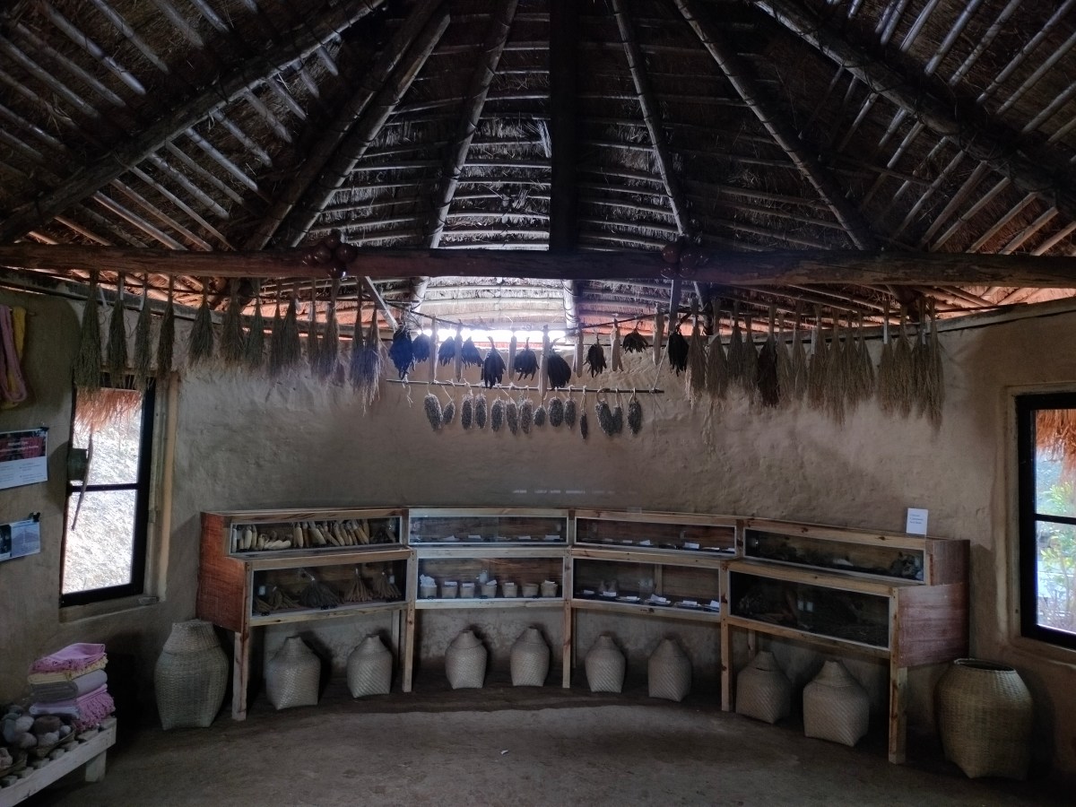 Revival of Folk Seeds is Key To Natural&nbsp;Farming