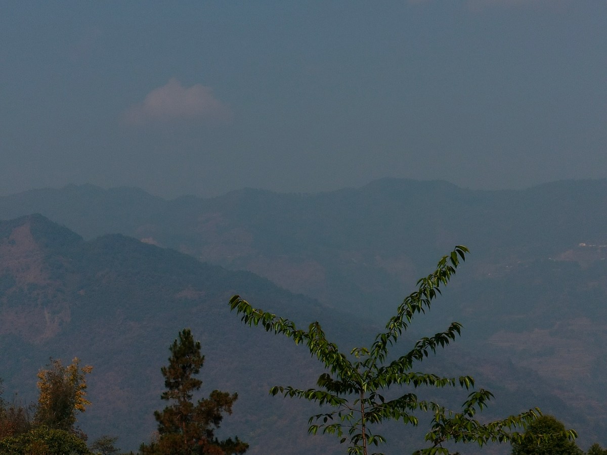 From the Sundarbans to Nagaland: Shrimati Munda’s Journey to the Biodiversity&nbsp;Festival