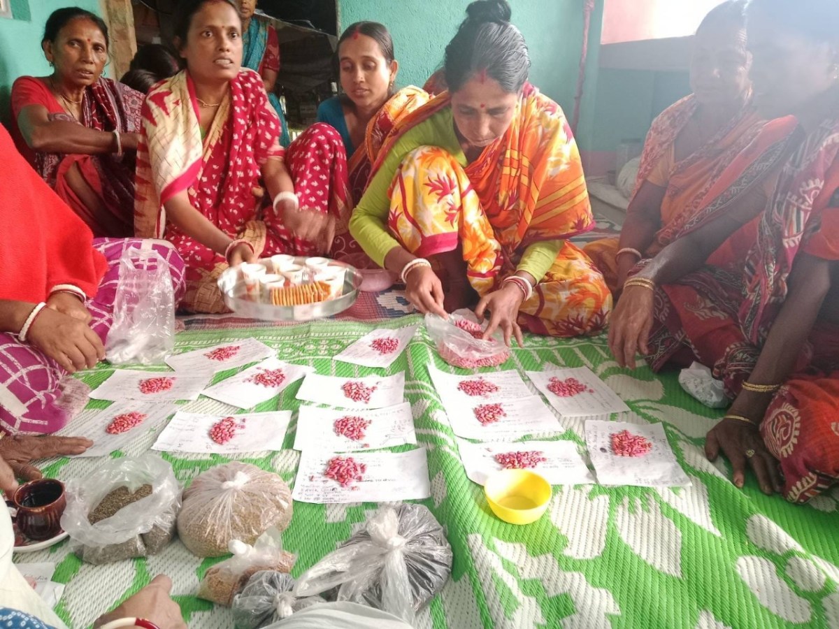 লোকায়ত বীজের পুনরুজ্জীবনই প্রাকৃতিক চাষের মূল&nbsp;চাবিকাঠি